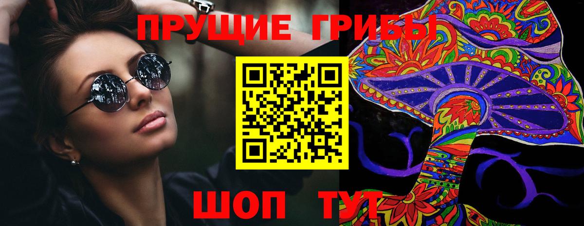 Галлюциногенные грибы прущие грибы  Вход с VPN  Светлоград 
