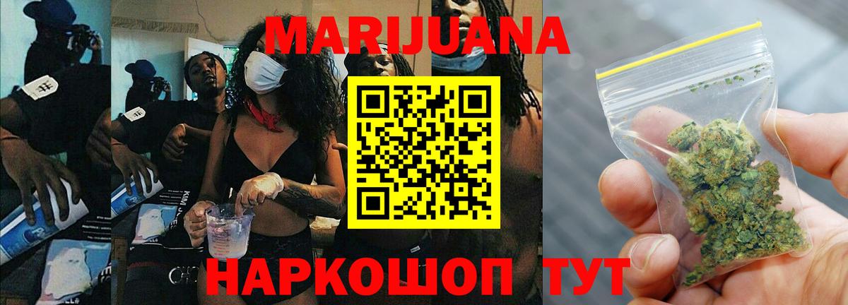 Каннабис планчик Светлоград